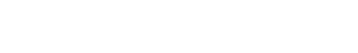 StreetView Logo